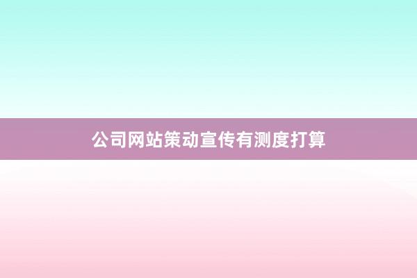 公司网站策动宣传有测度打算