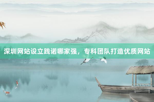 深圳网站设立践诺哪家强，专科团队打造优质网站