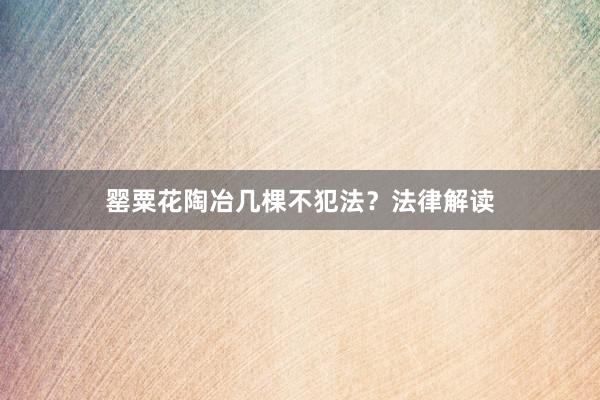罂粟花陶冶几棵不犯法？法律解读