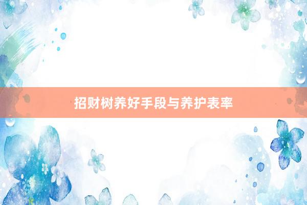 招财树养好手段与养护表率